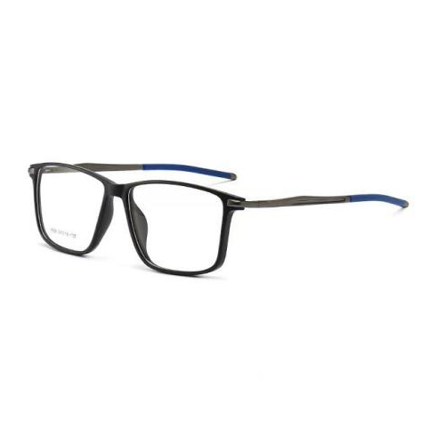 ludis eyeglasses