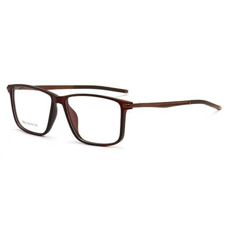 ludis eyeglasses