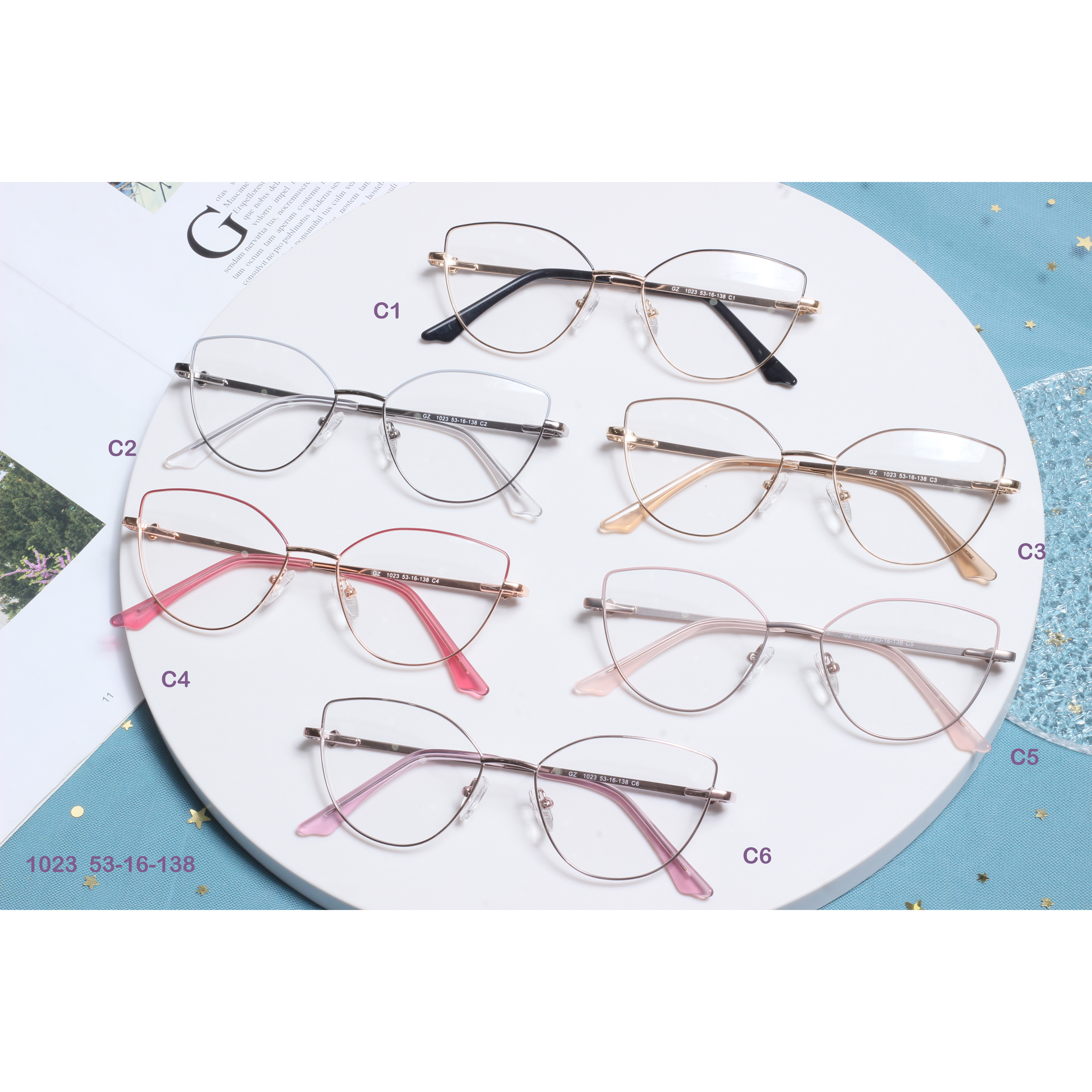 Confusaque Mixta Metal Optical Frames (2)