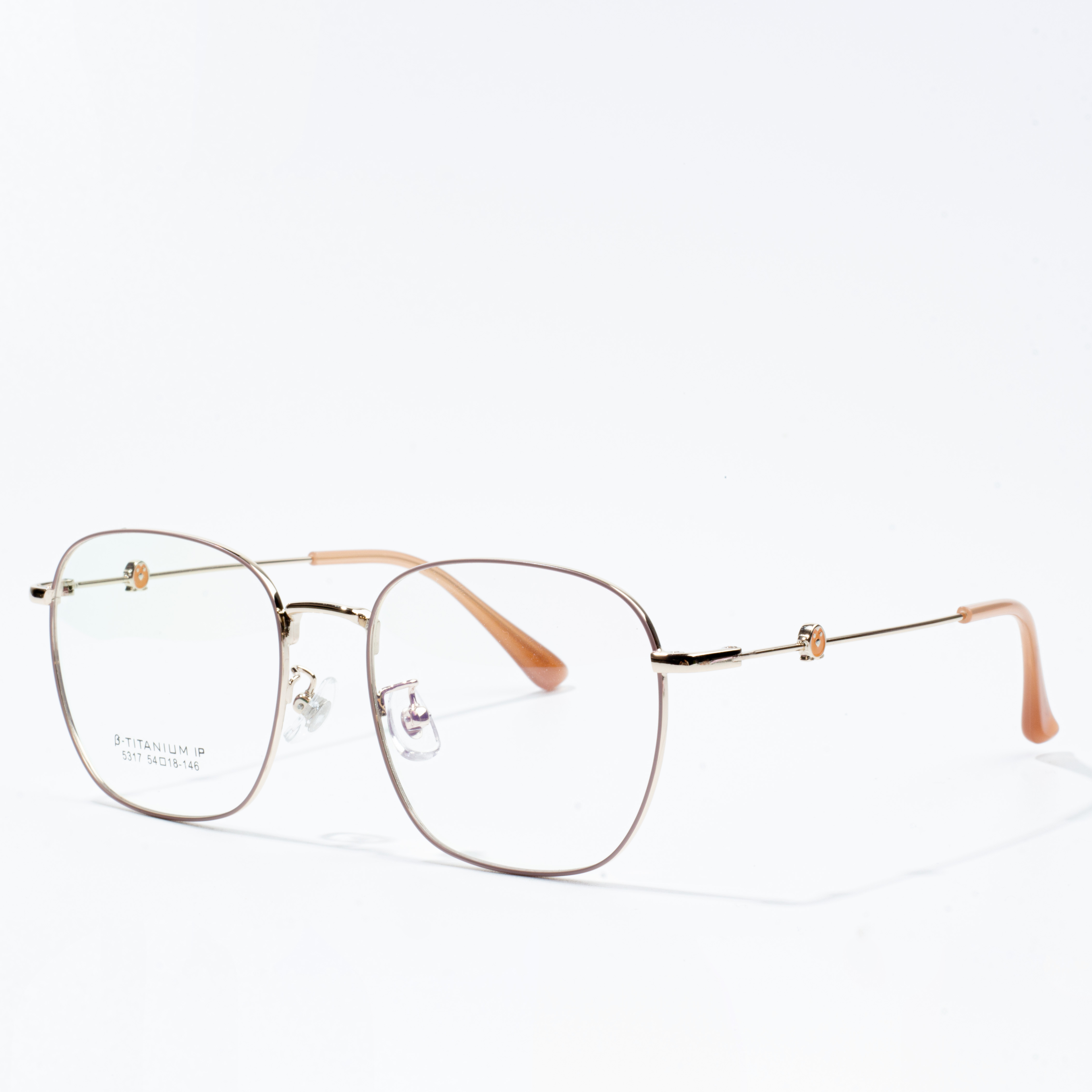 titanium eyeglasses frames