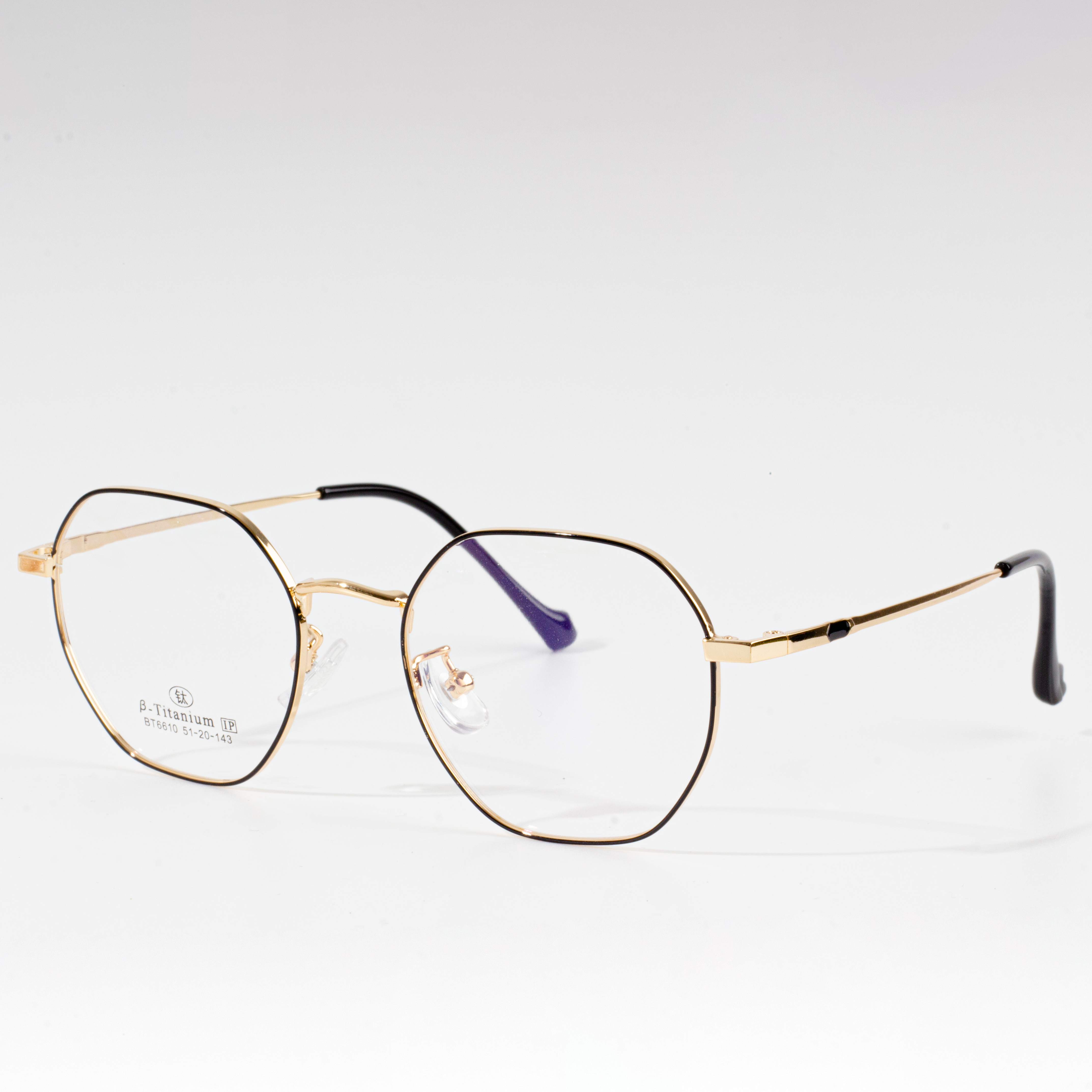 eyeglasses with changeable frames