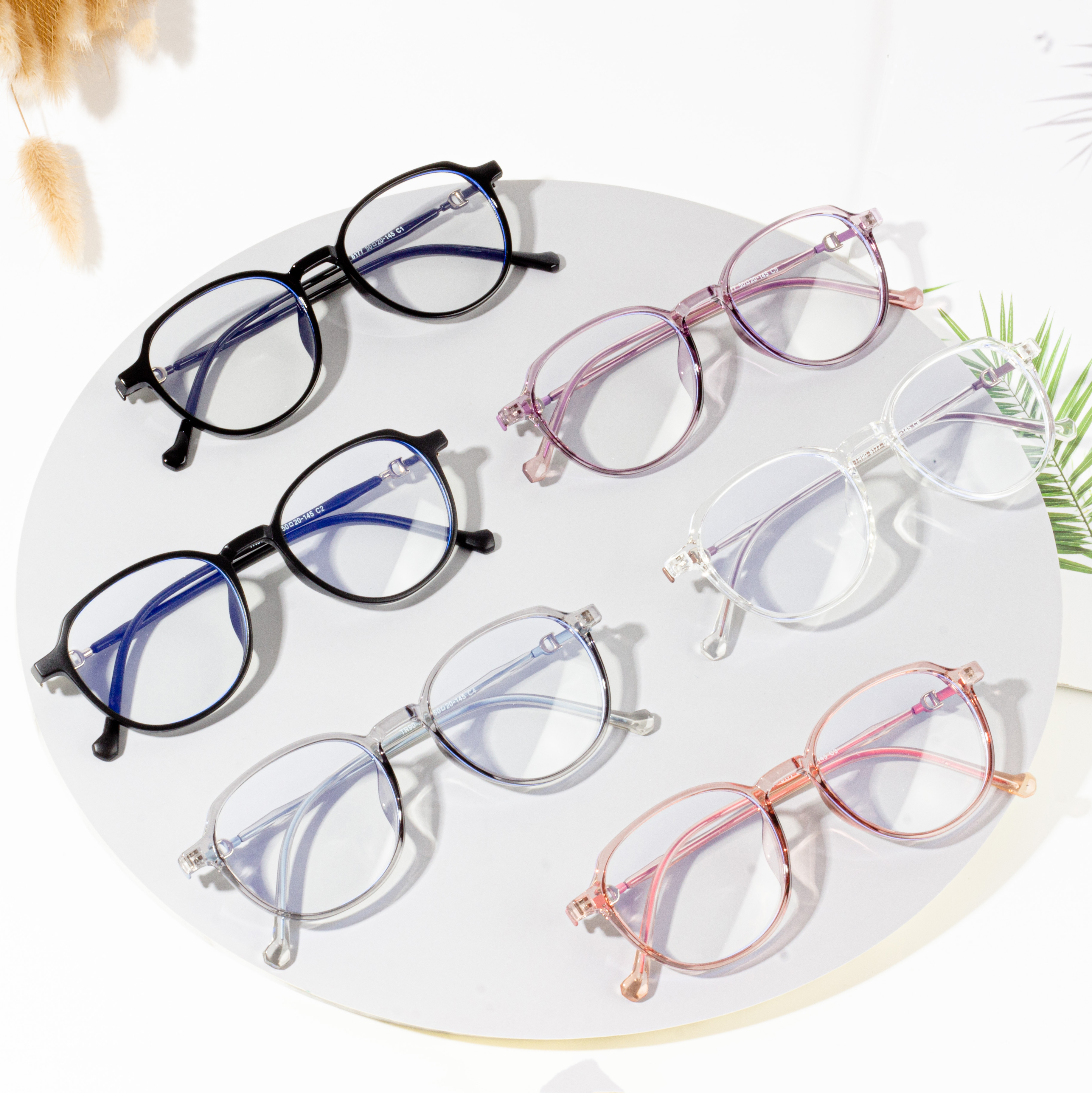 frame eyeglasses