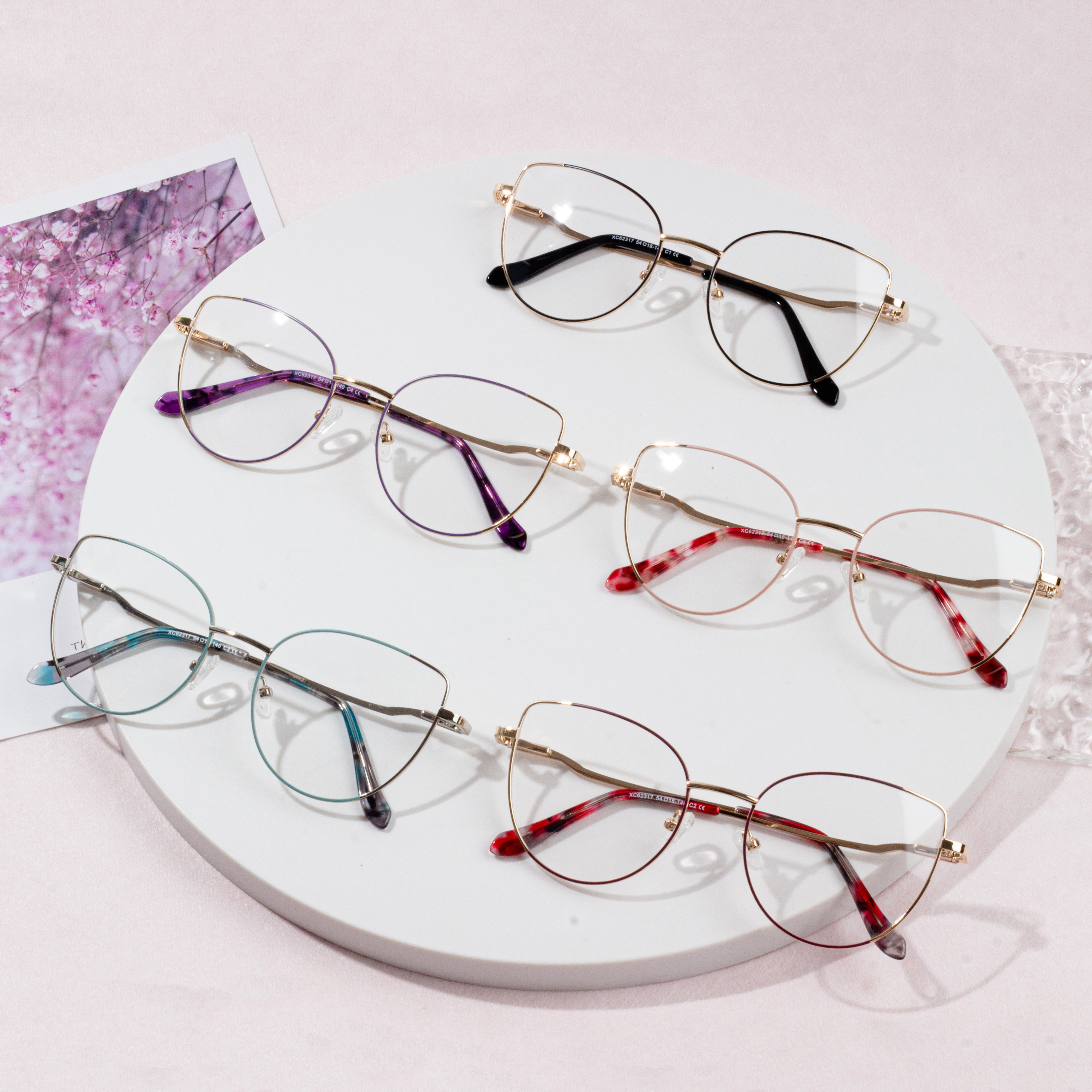 frame for eyeglasses