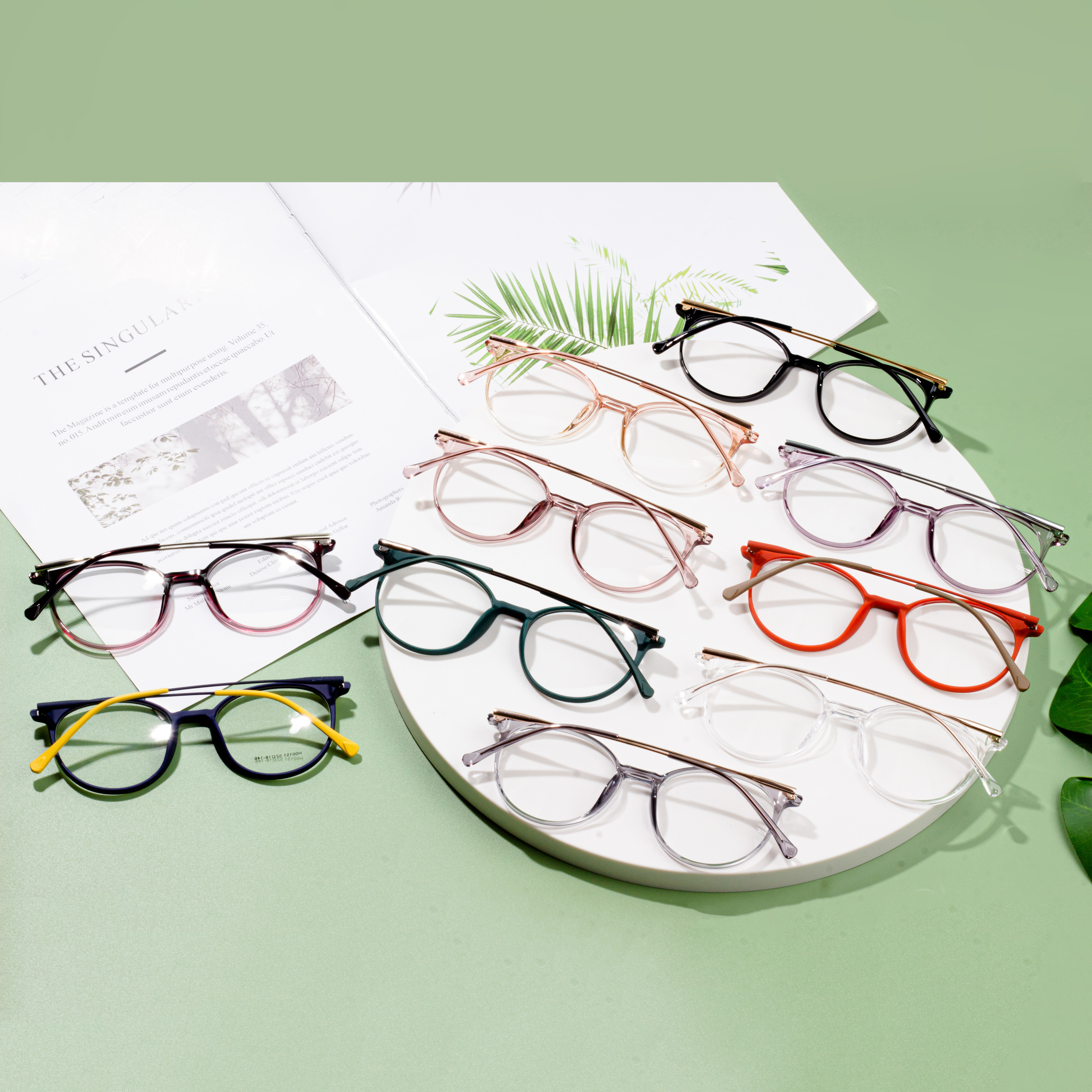 eyeglasses frames